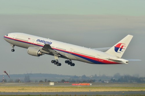 Aviation security to be tightened after Malaysian plane went missing  - ảnh 1